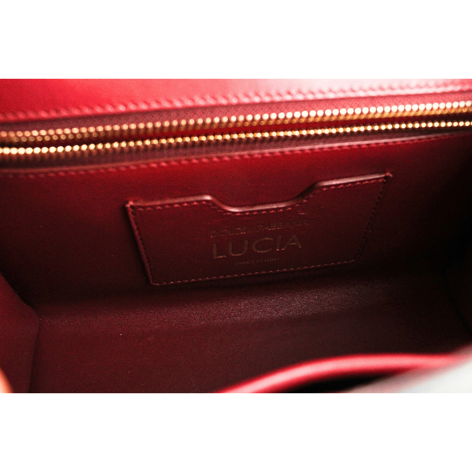 Lucia Lizard Handbag