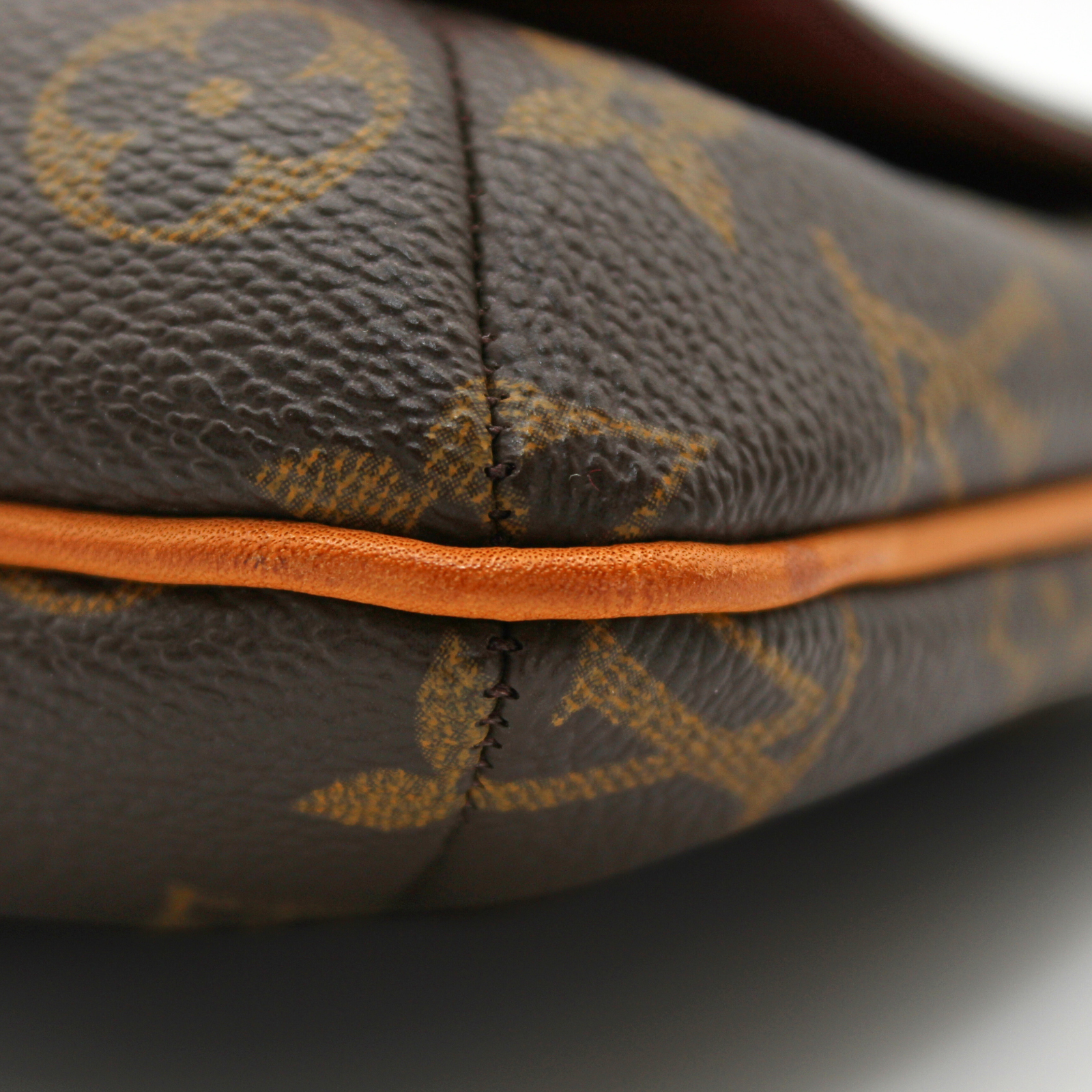 Musette Salsa Monogram Shoulder Bag