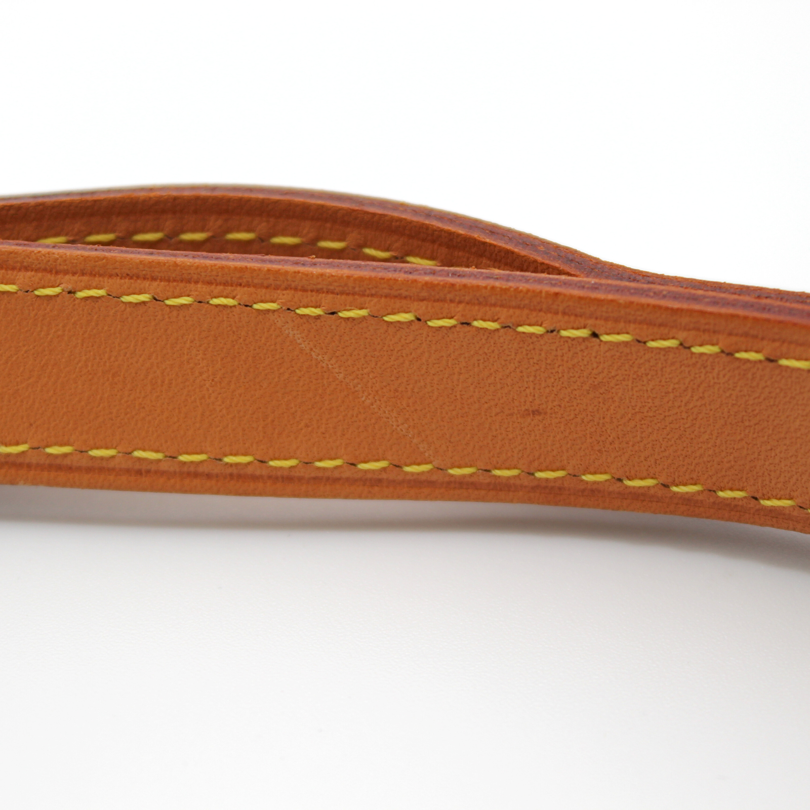 Musette Salsa Monogram Shoulder Bag