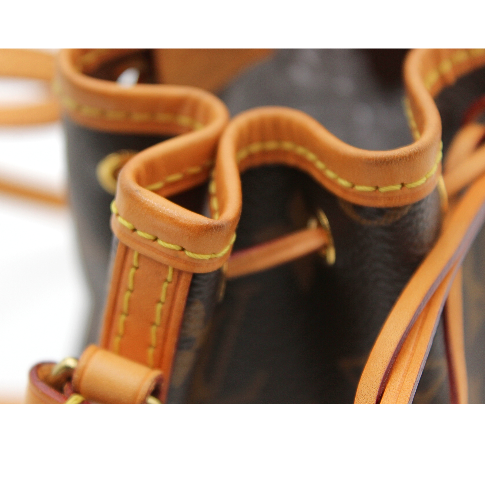 Noe Nano Monogram Crossbody Bag