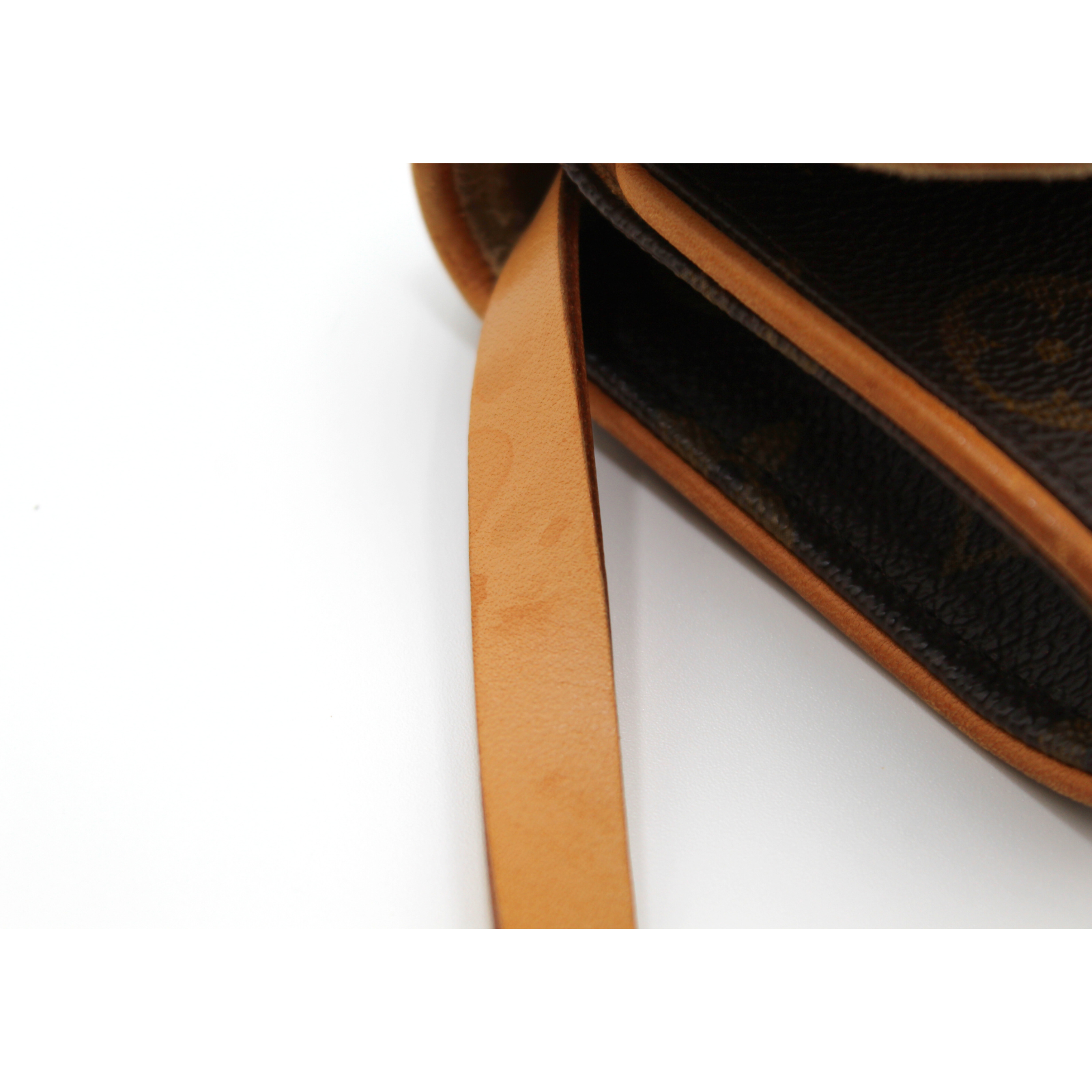 Pochette Twin PM Monogram Crossbody Bag