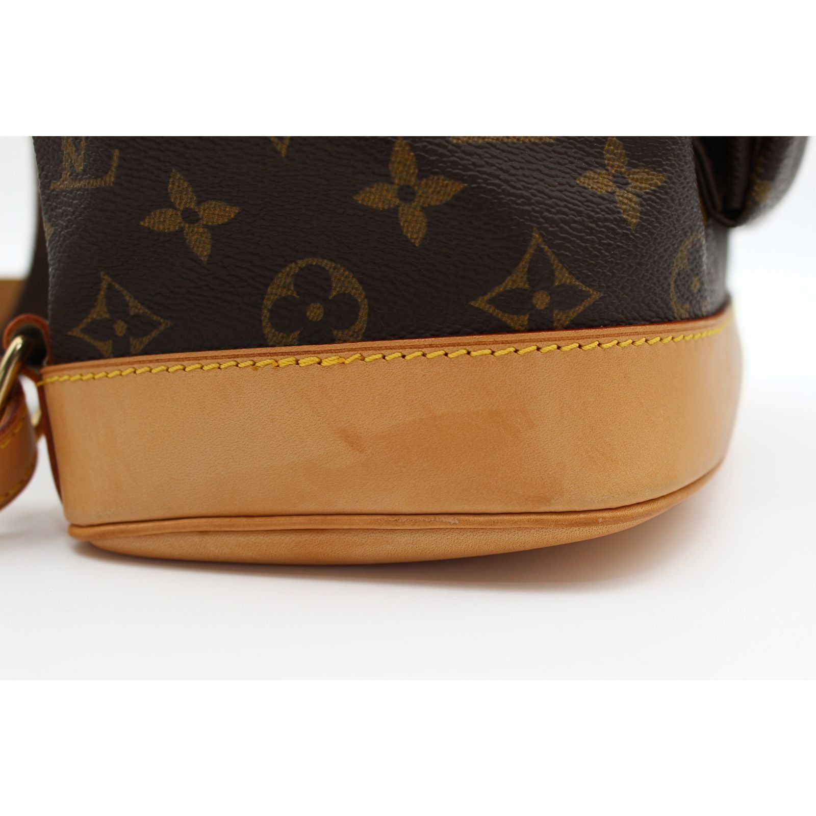 Montsouris GM Monogram Backpack