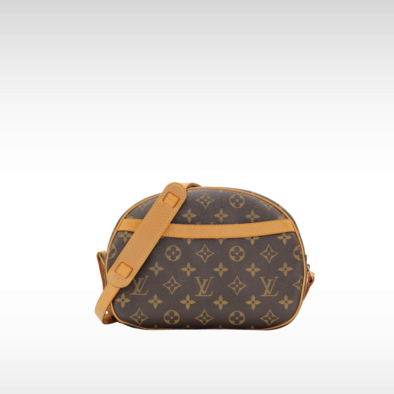 Blois Monogram Coated Canvas marron Crossbody Bag