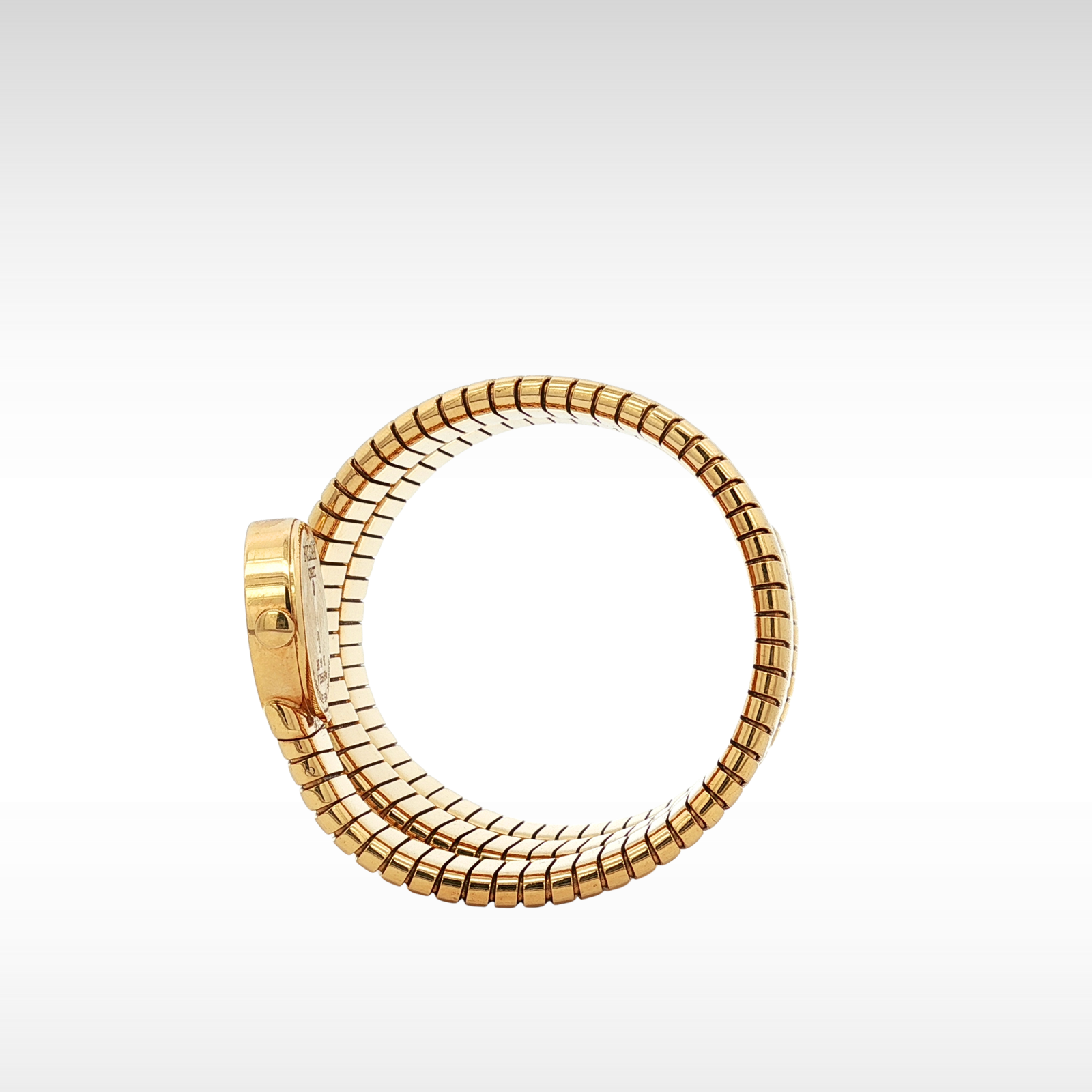 Bvlgari Bvlgari Snake BB191T