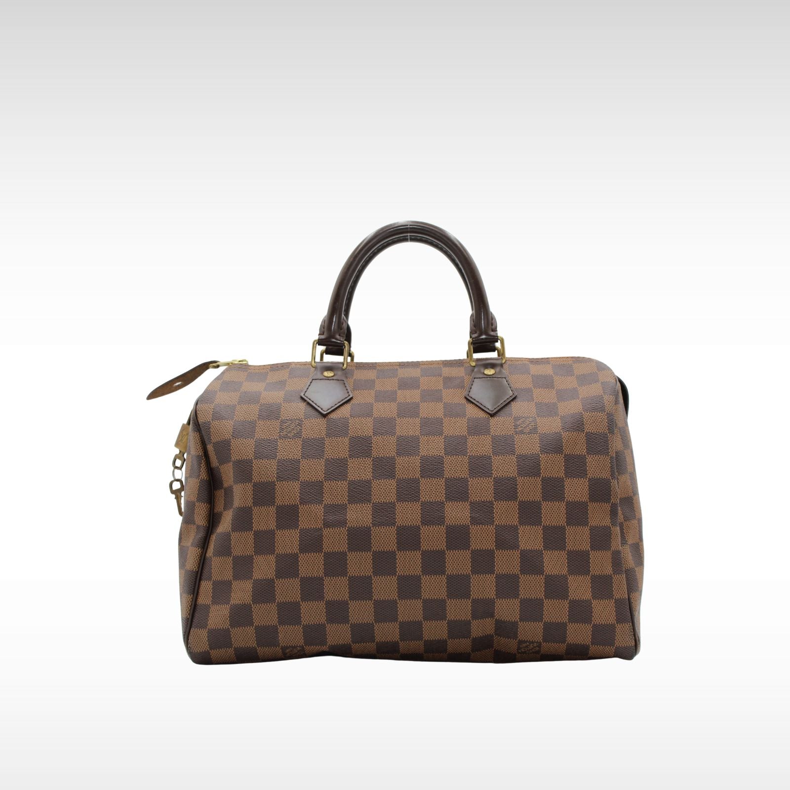 Speedy 30 Damier Handbag