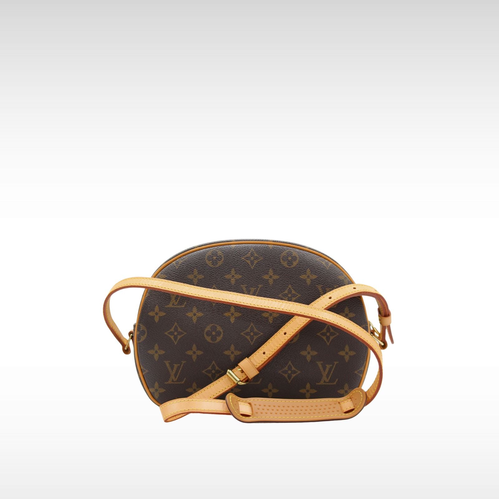 Blois Monogram Crossbody Bag