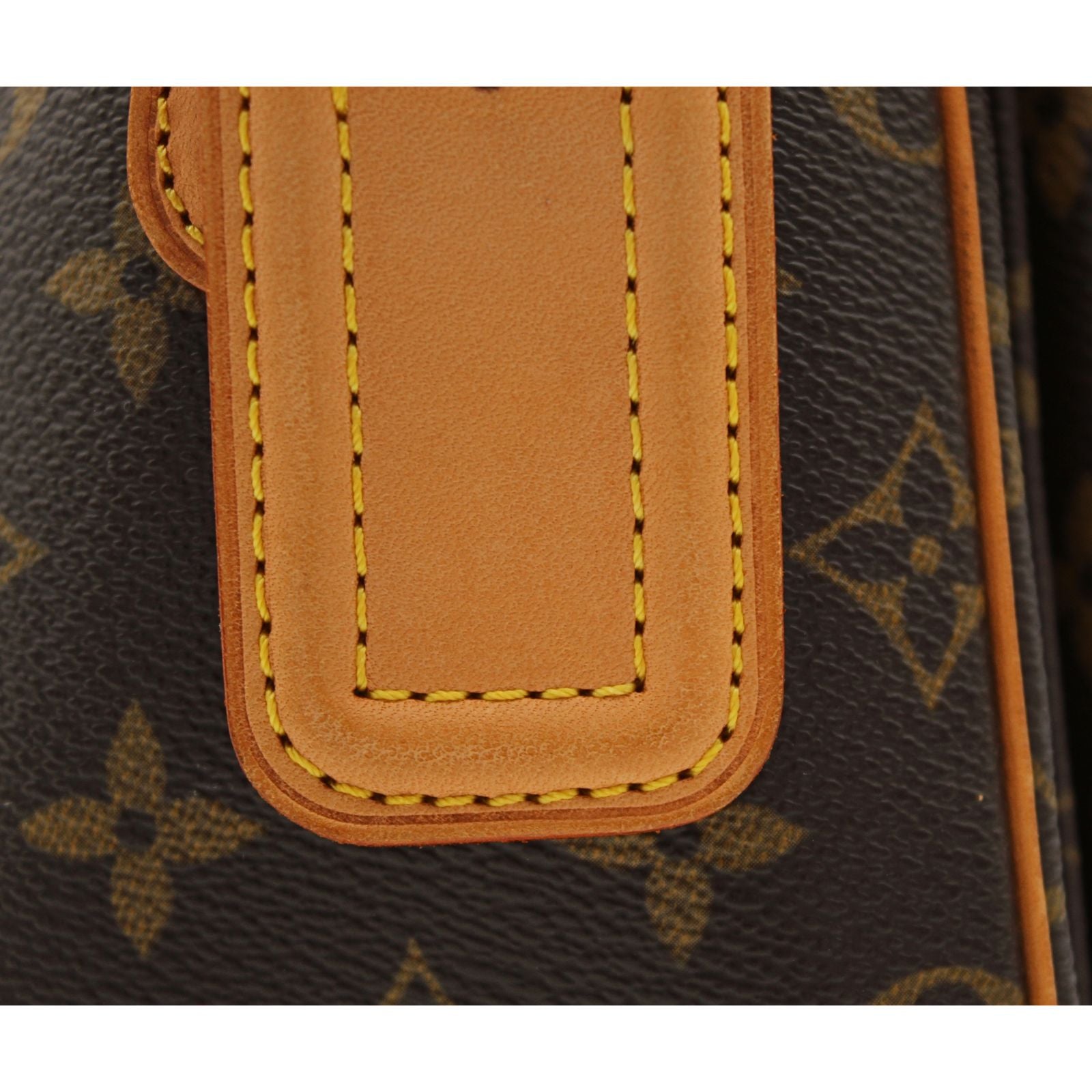 Viva Cite GM Monogram Shoulder Bag