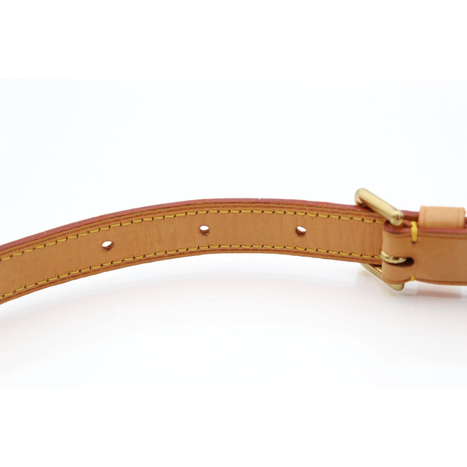 Musette Salsa Monogram Shoulder Bag