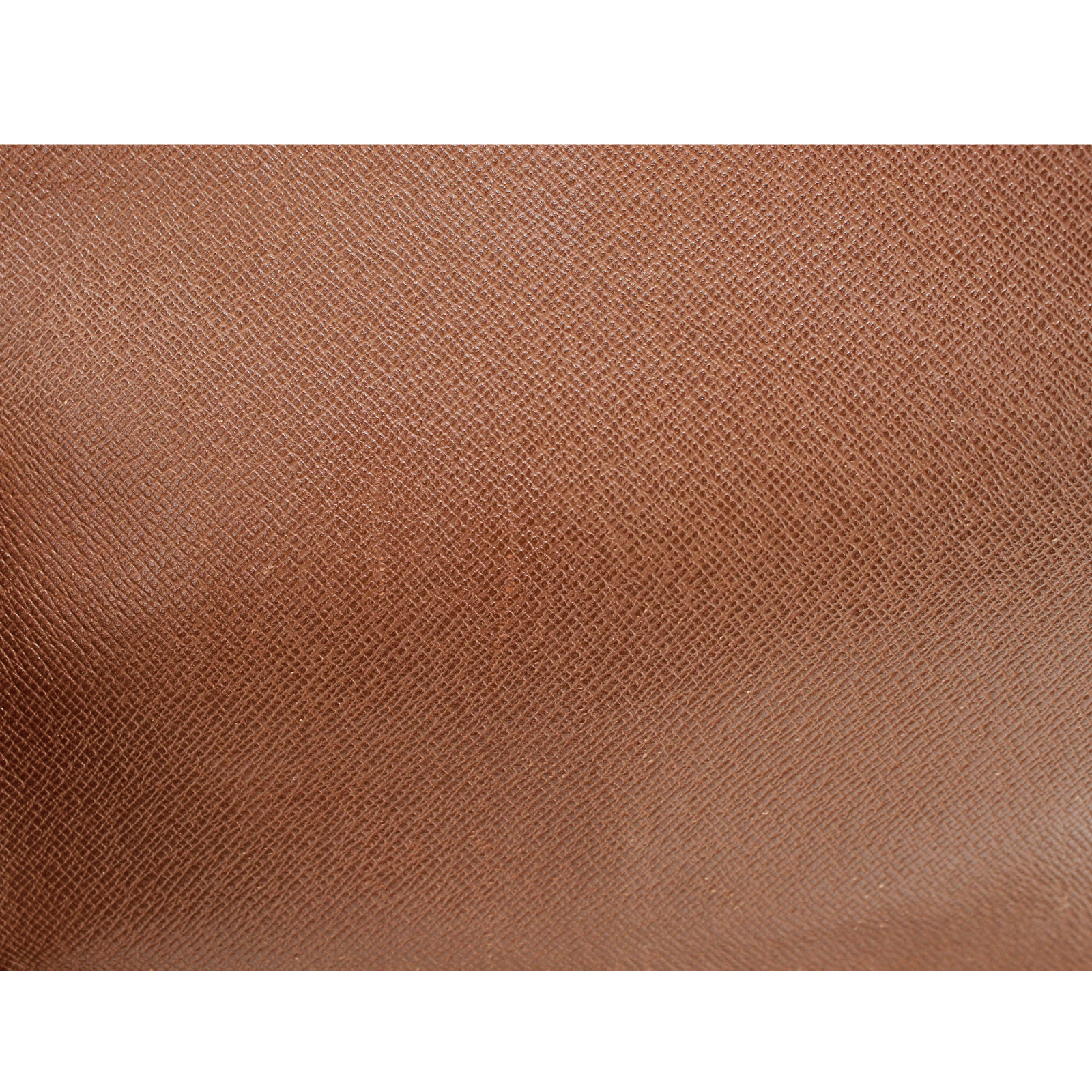 Musette Salsa Monogram Shoulder Bag