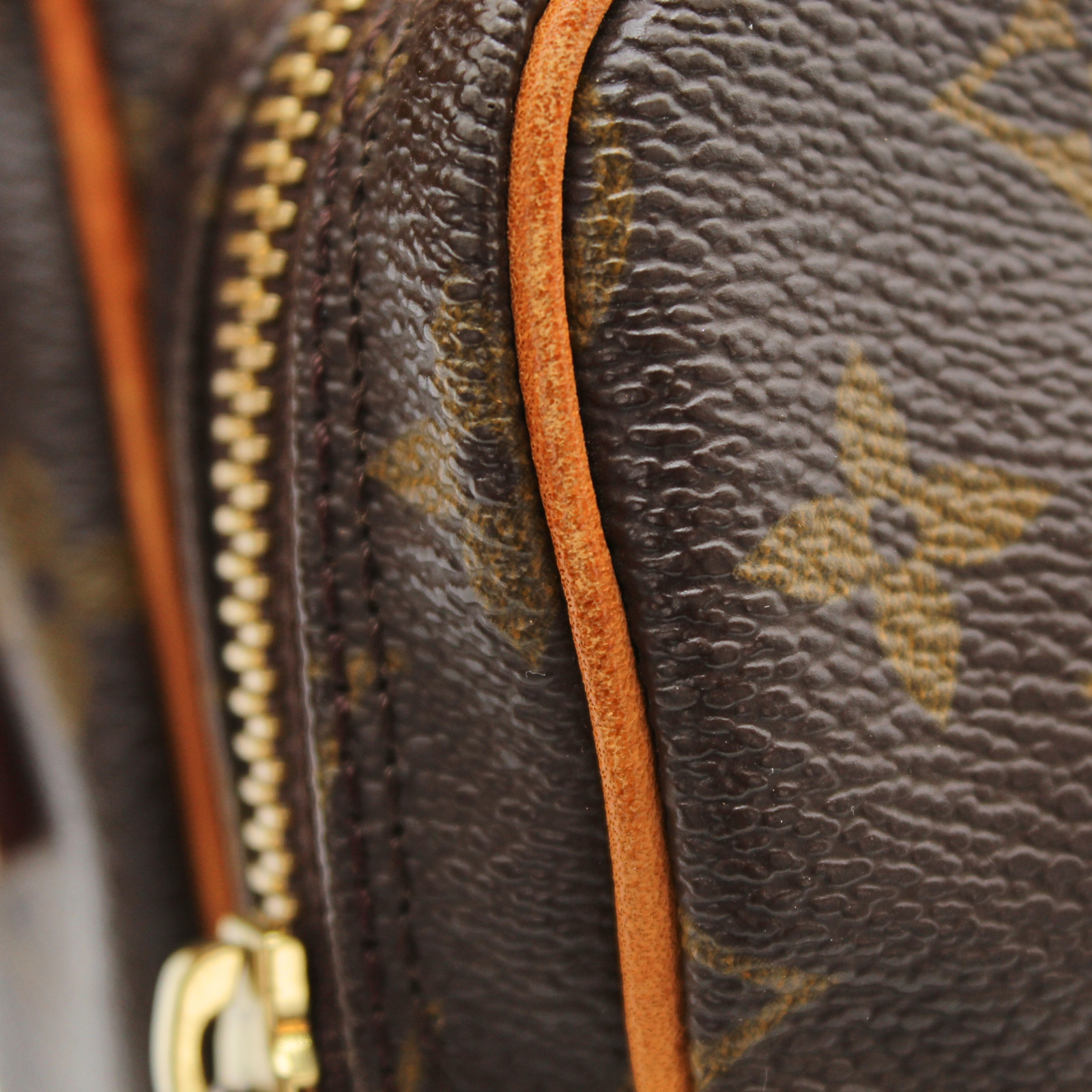 Amazon Monogram Crossbody Bag