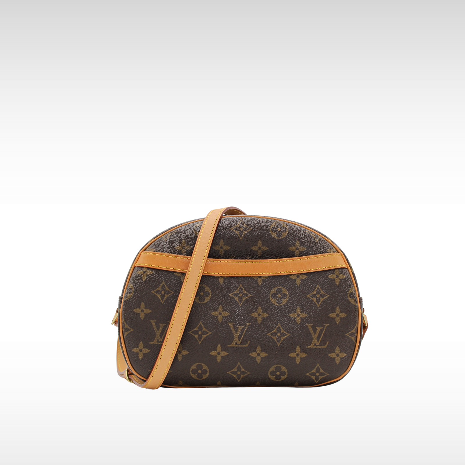 Blois Monogram Crossbody Bag