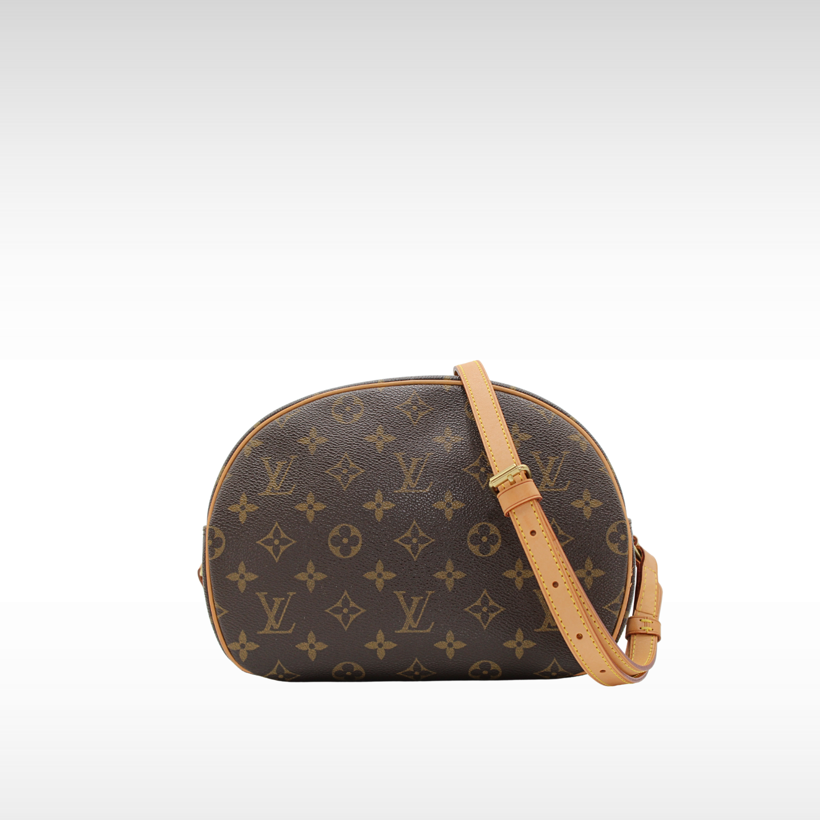 Blois Monogram Crossbody Bag