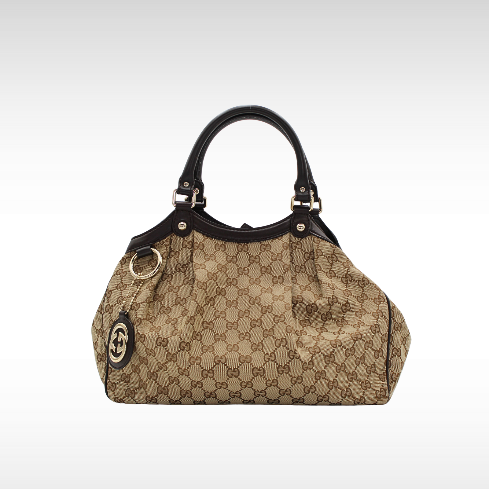 GG-Canvas Canvas Hand Bag