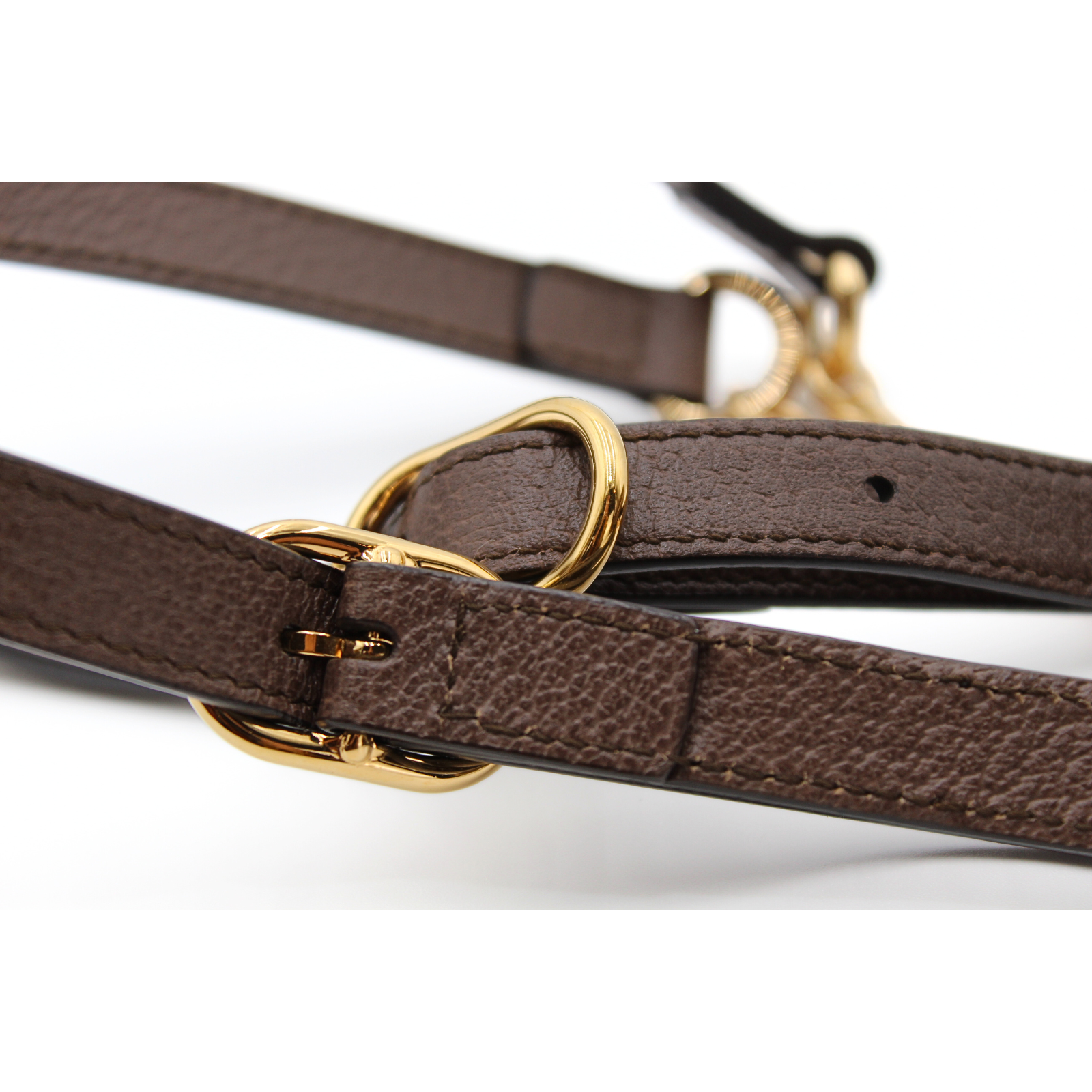 Ophidia GG Coated Canvas Backpack