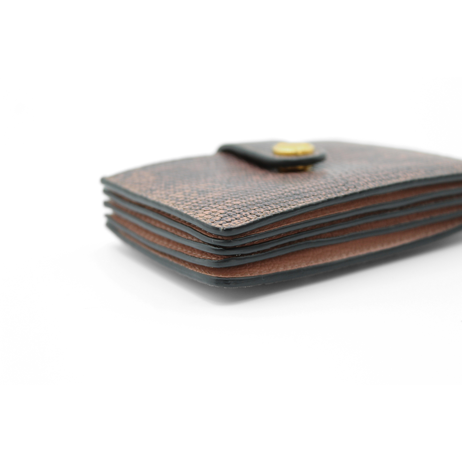 Lizard Card Case
