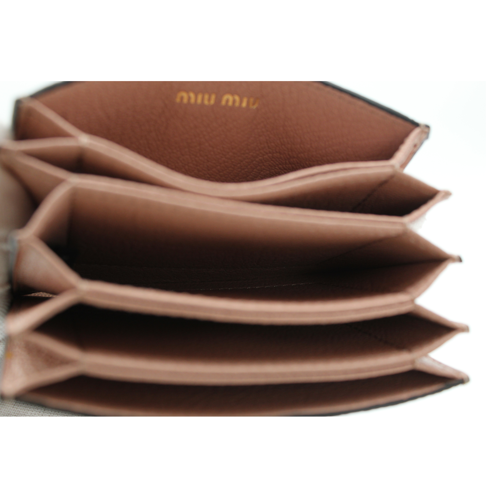 Lizard Card Case