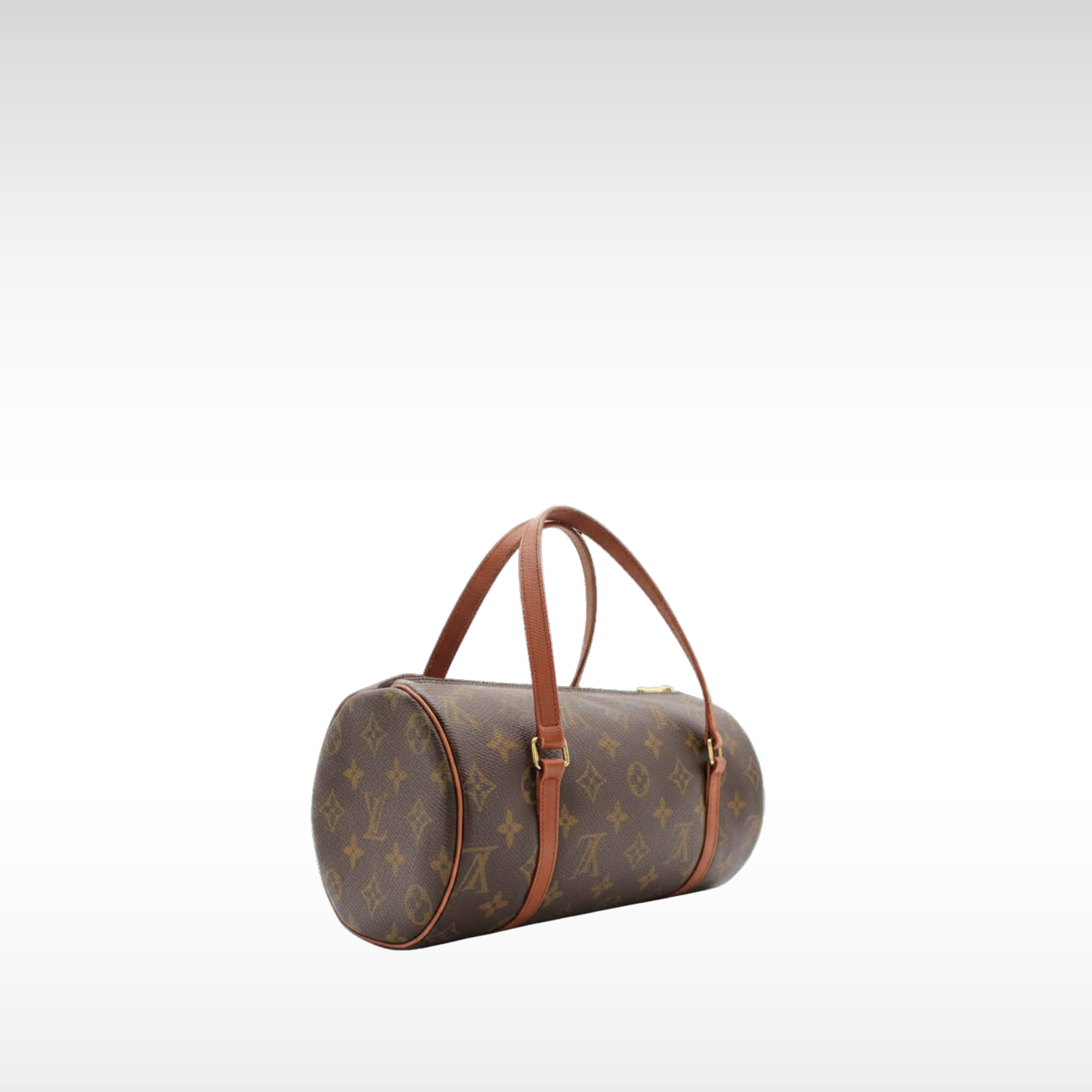 Papillon 26 Monogram Coated Canvas Marron Handbag