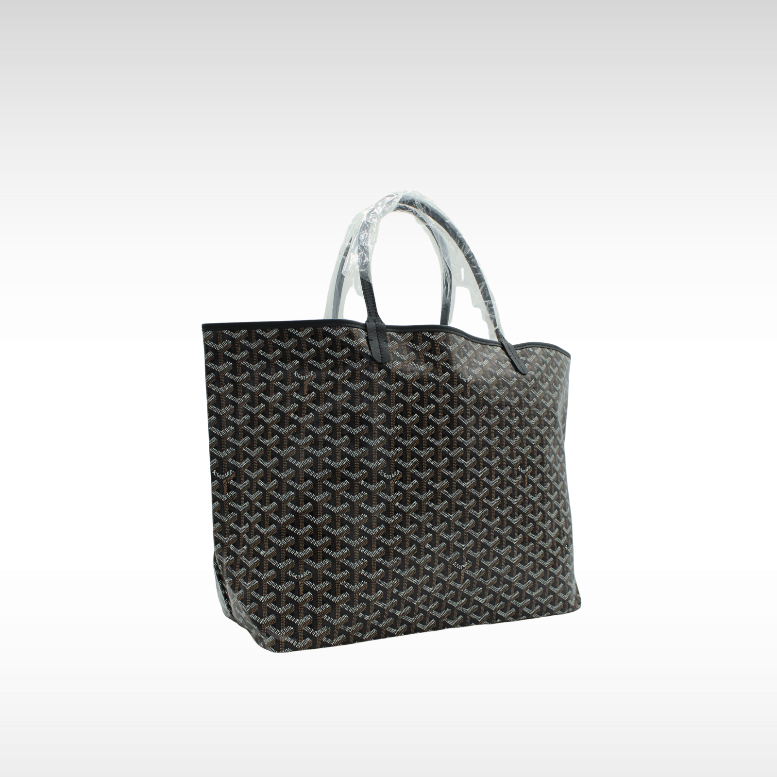 Saint Louis GM Coated Canvas Tote Bag