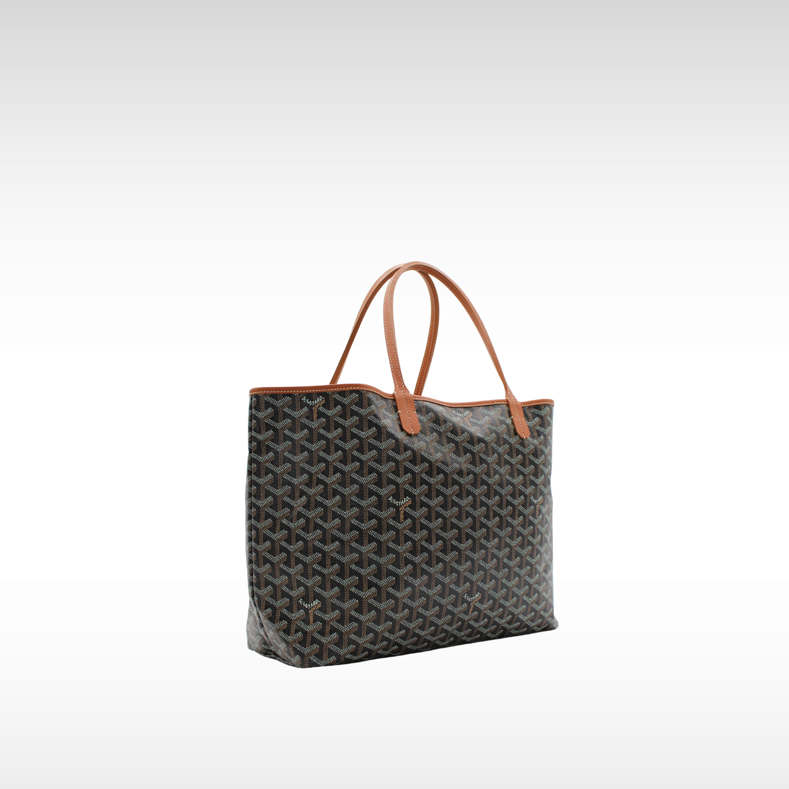 Saint Louis PM Coated Canvas Tote Bag