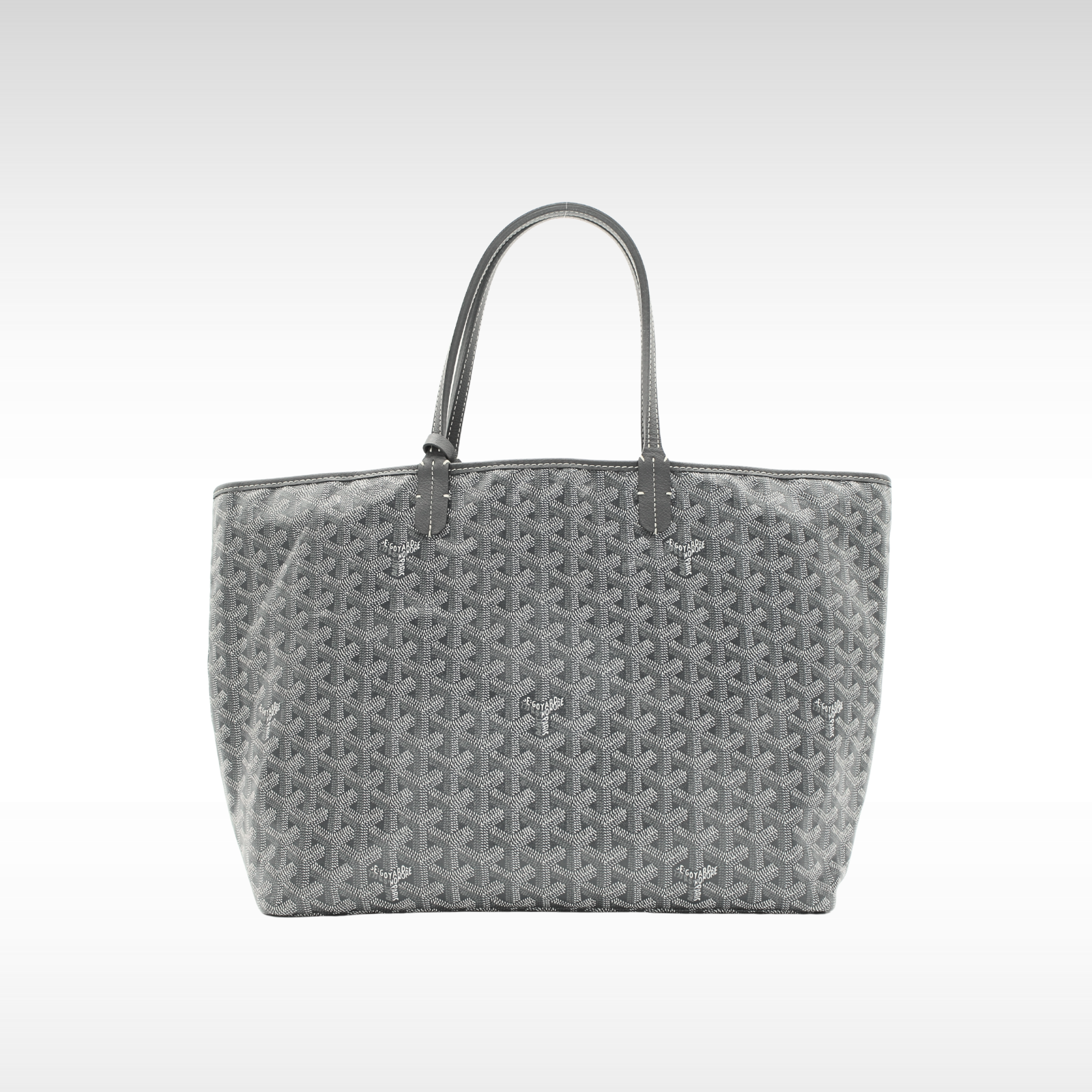Saint Louis PM Coated Canvas Tote Bag