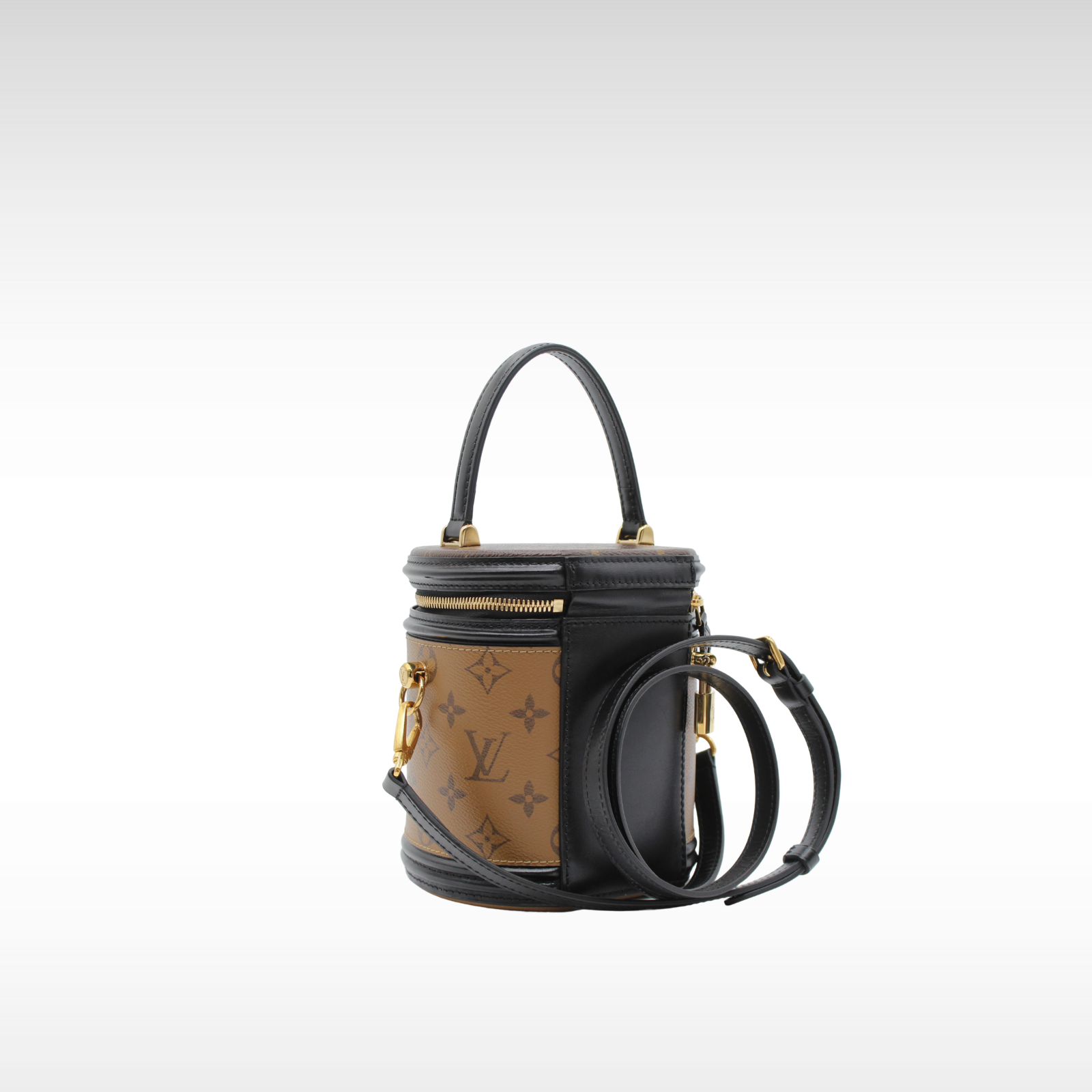 Cannes Monogram Reverse Vanity Bag