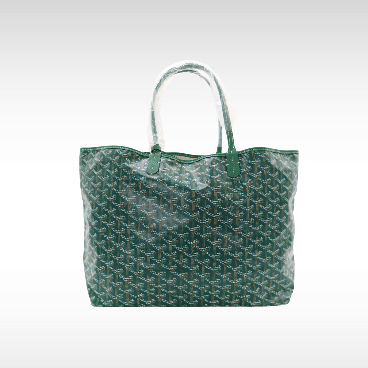 Saint Louis PM Coated Canvas Tote Bag