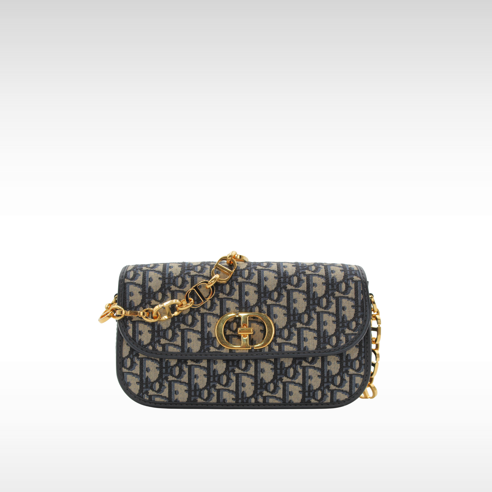 30 Montaigne Avenue Oblique Canvas Shoulder Bag
