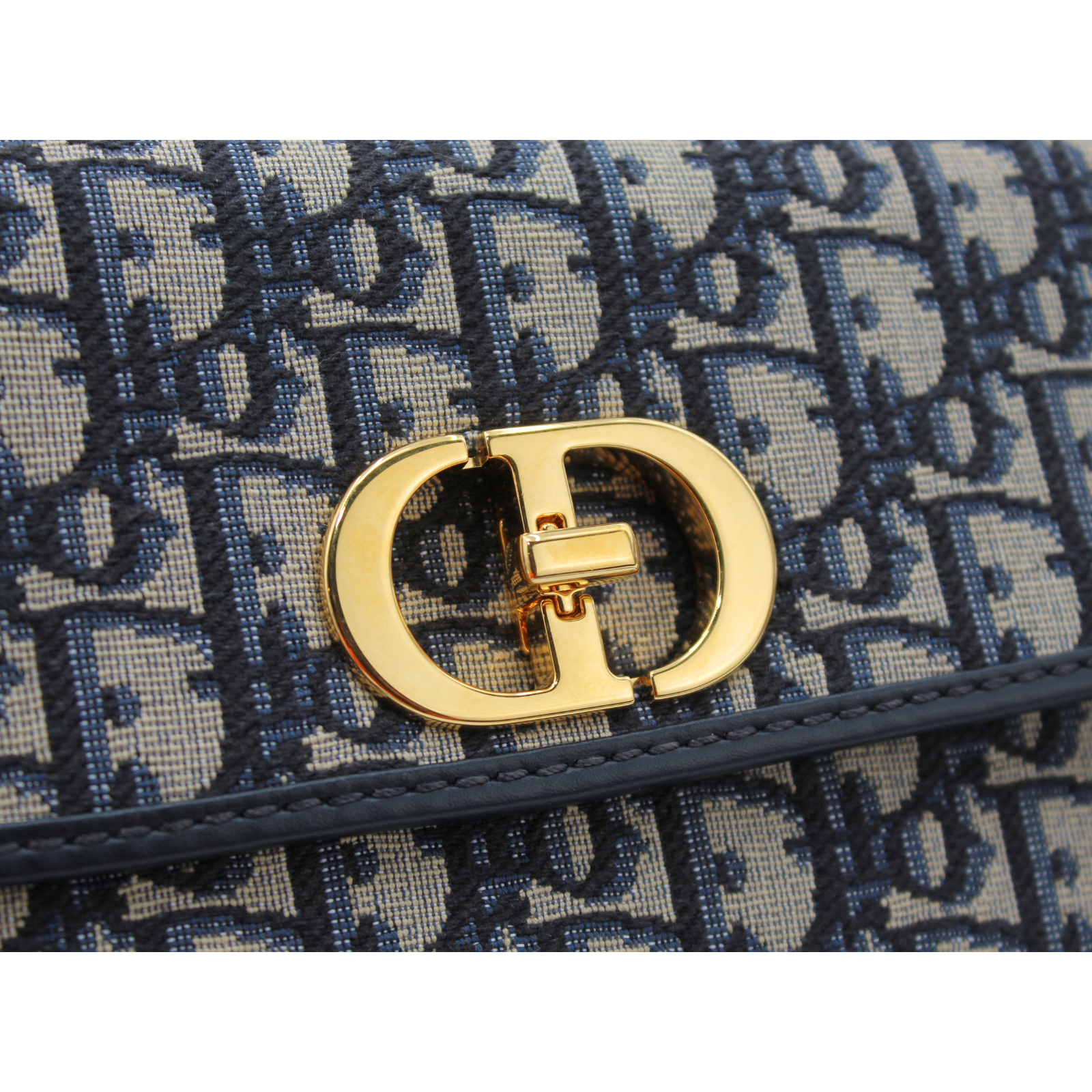 30 Montaigne Avenue Oblique Canvas Shoulder Bag
