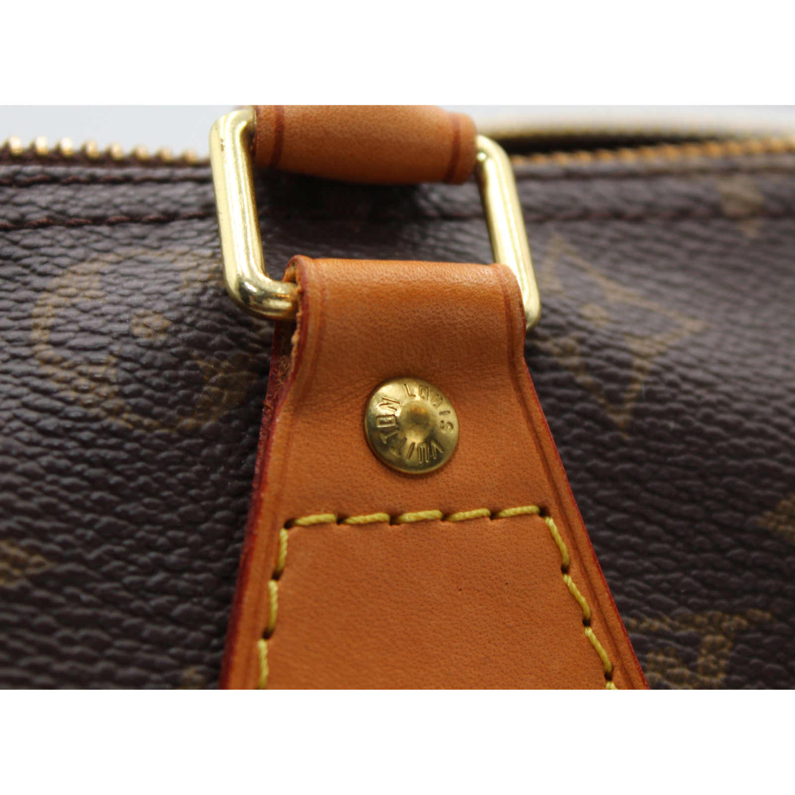 Speedy 30 Monogram Handbag