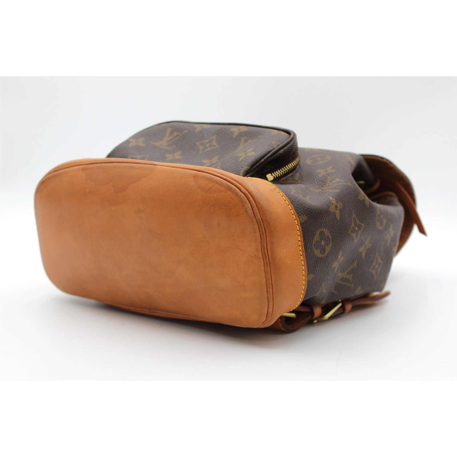 Montsouris PM Monogram Backpack