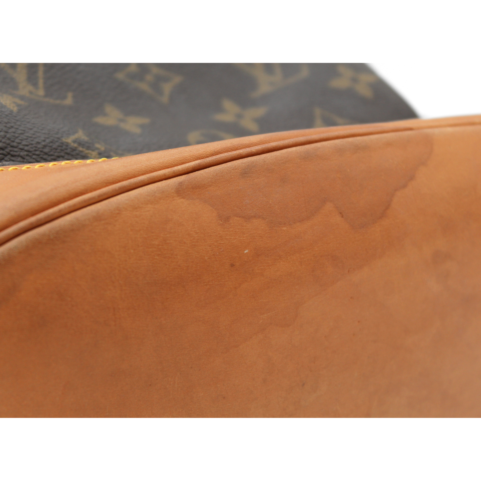 Montsouris PM Monogram Backpack