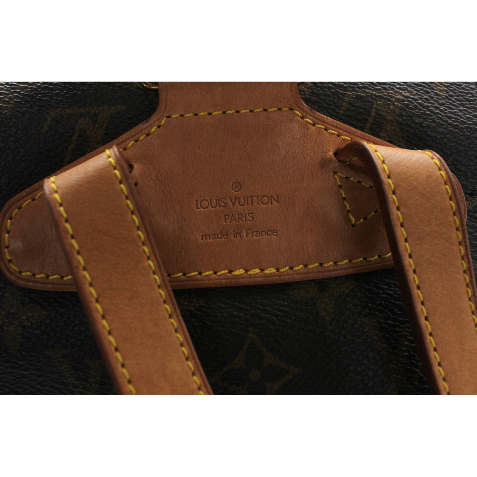 Montsouris PM Monogram Backpack