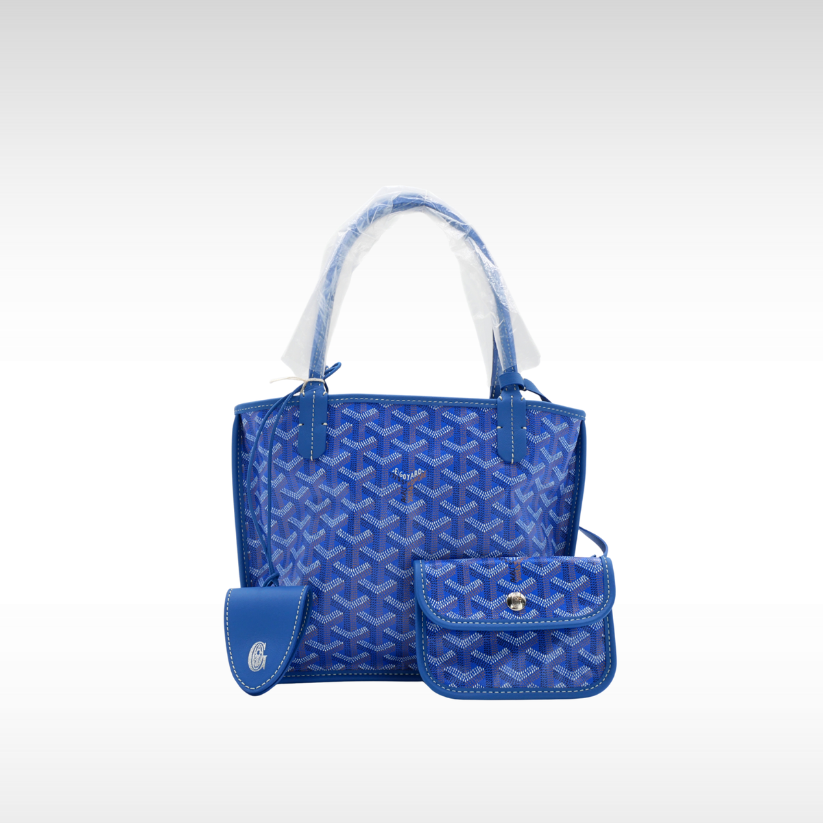 Anjou Mini Coated Canvas Tote Bag