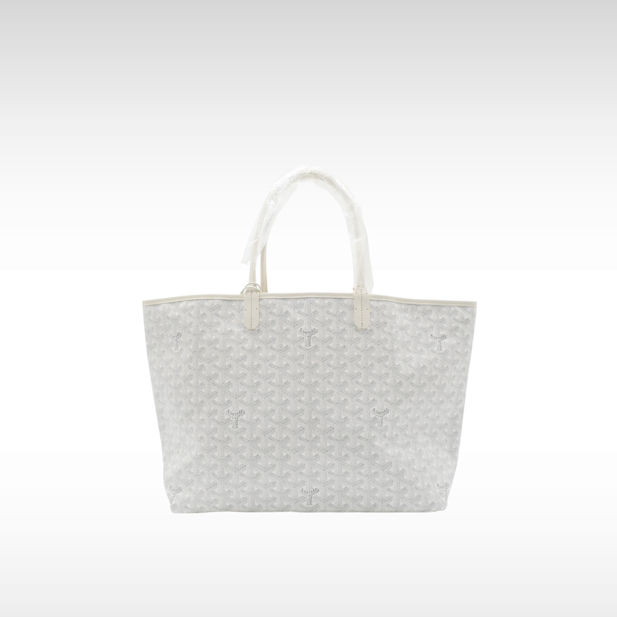 Saint Louis PM Coated Canvas Tote Bag