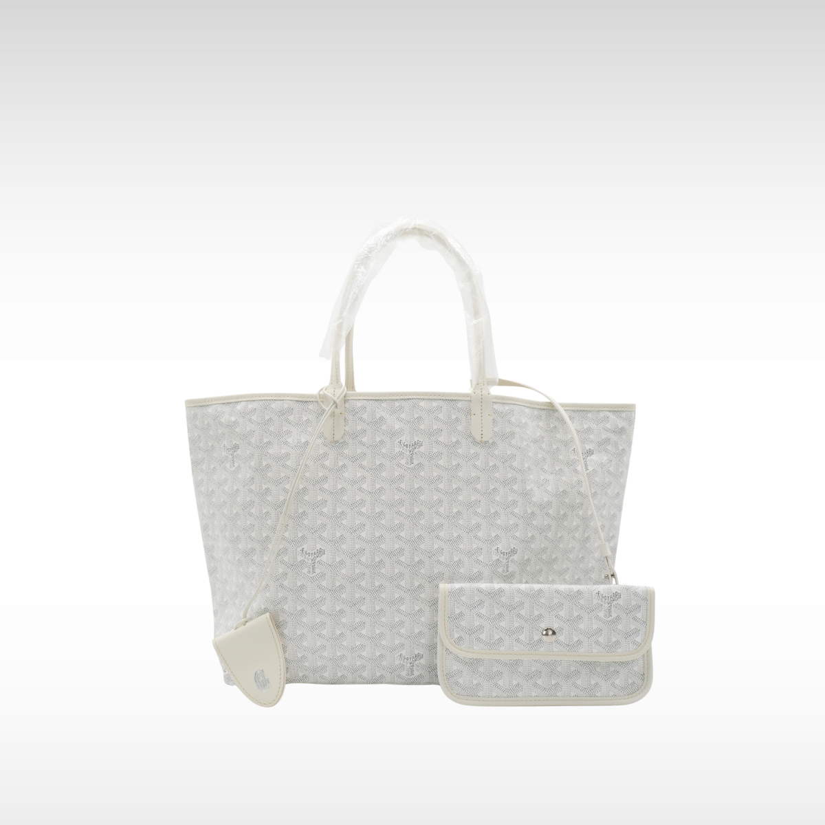 Saint Louis PM Coated Canvas Tote Bag