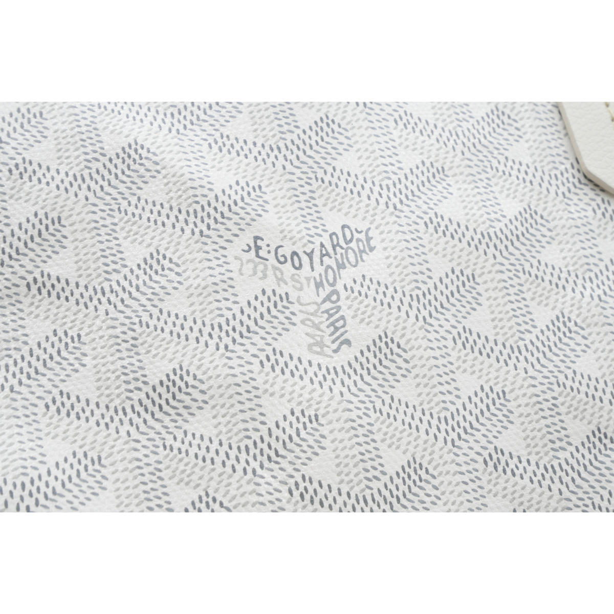 Saint Louis PM Coated Canvas Tote Bag