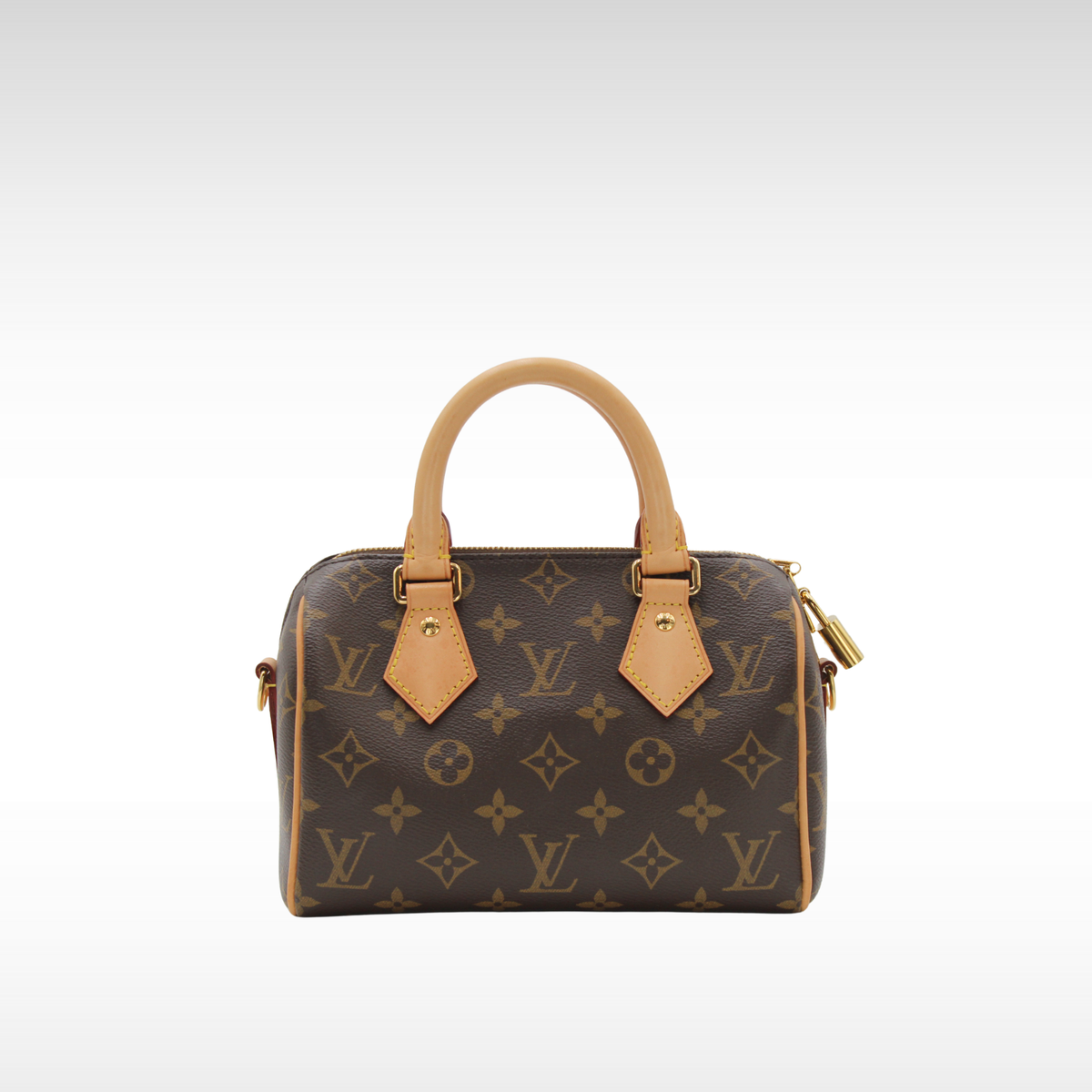 Speedy 20 Monogram Handbag