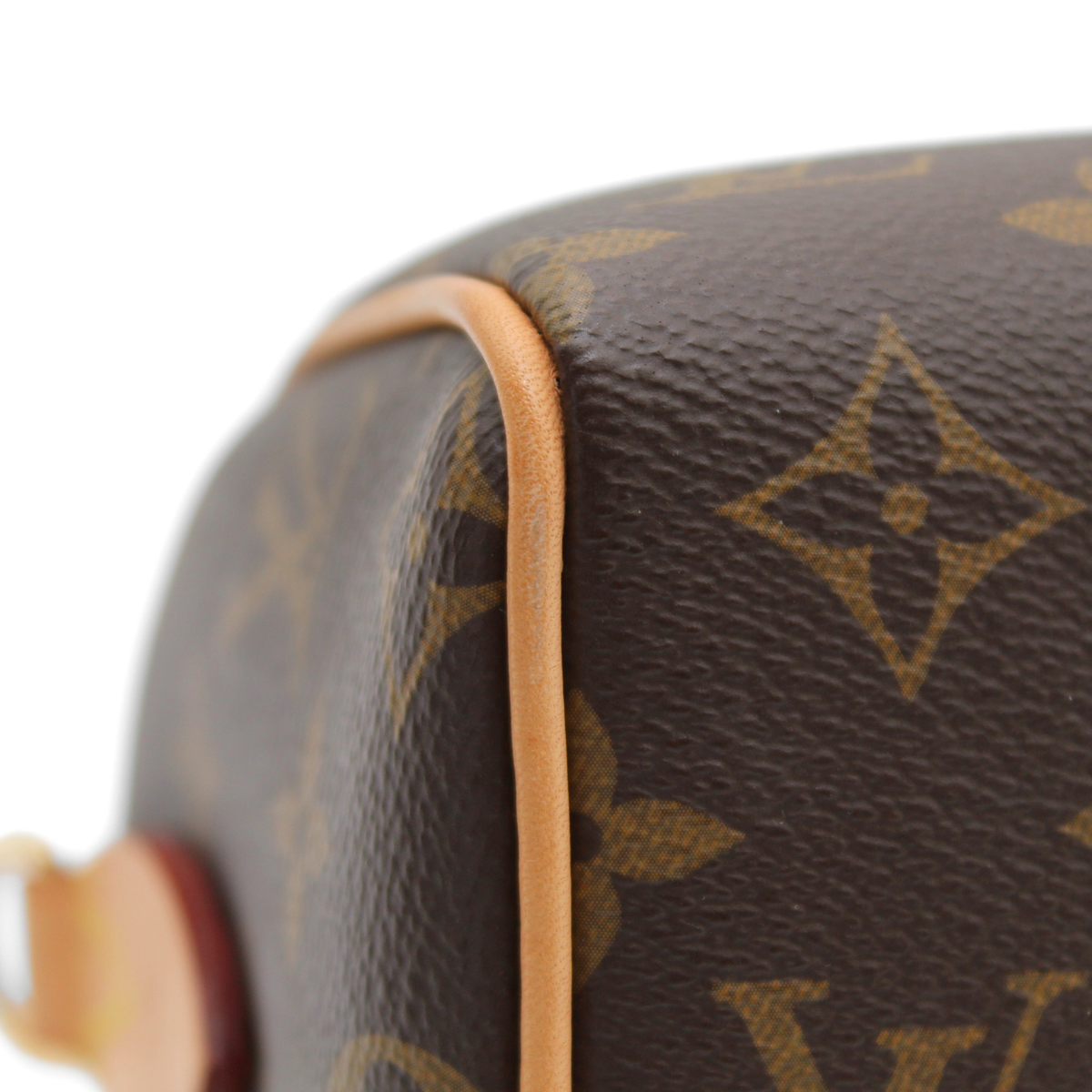 Speedy 20 Monogram Handbag