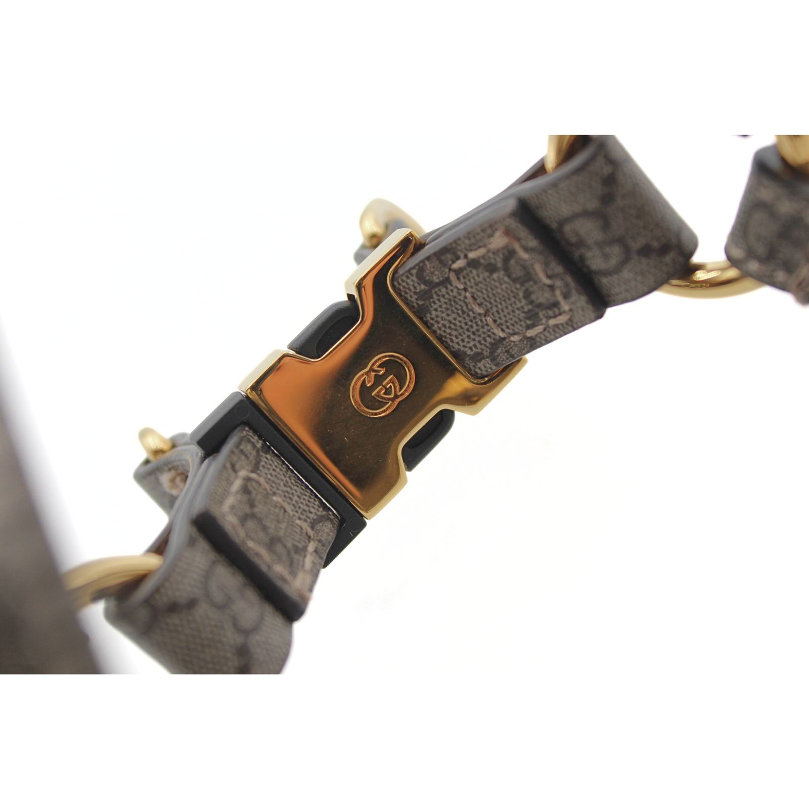 XS Coated Canvas Dog Harness