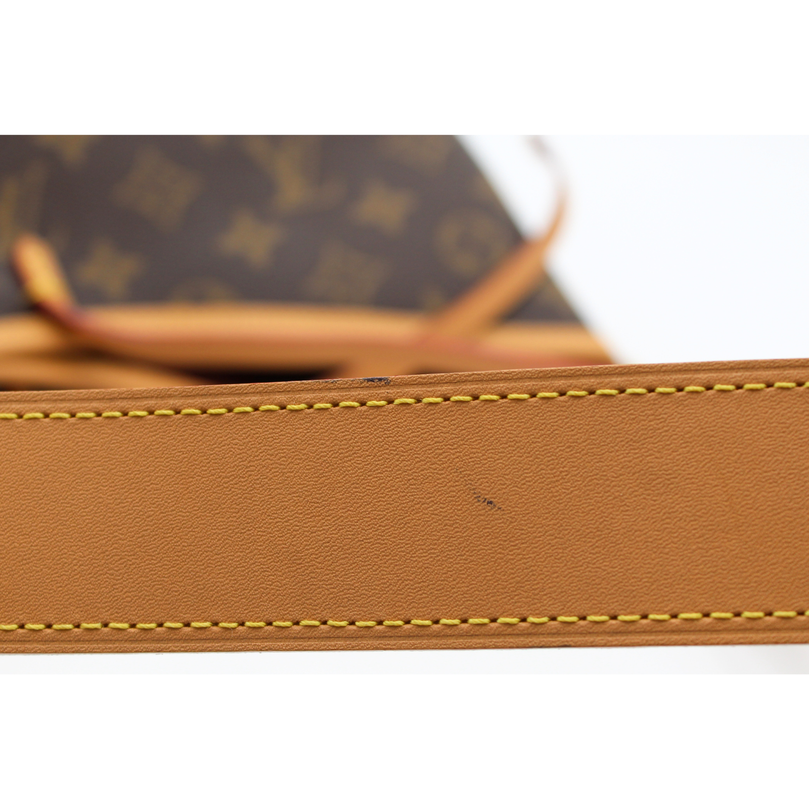 Carryall PM Monogram Shoulder Bag