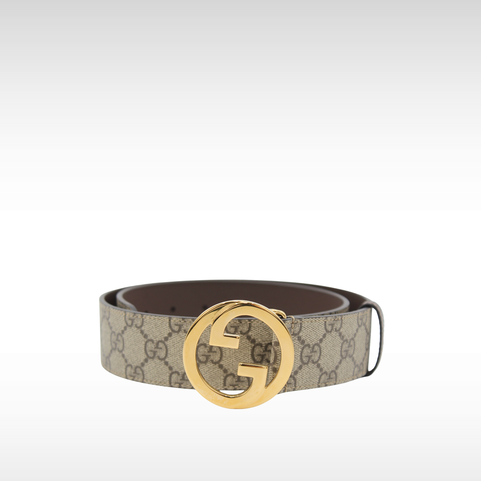 32/80 Blondie Coated Canvas Belt