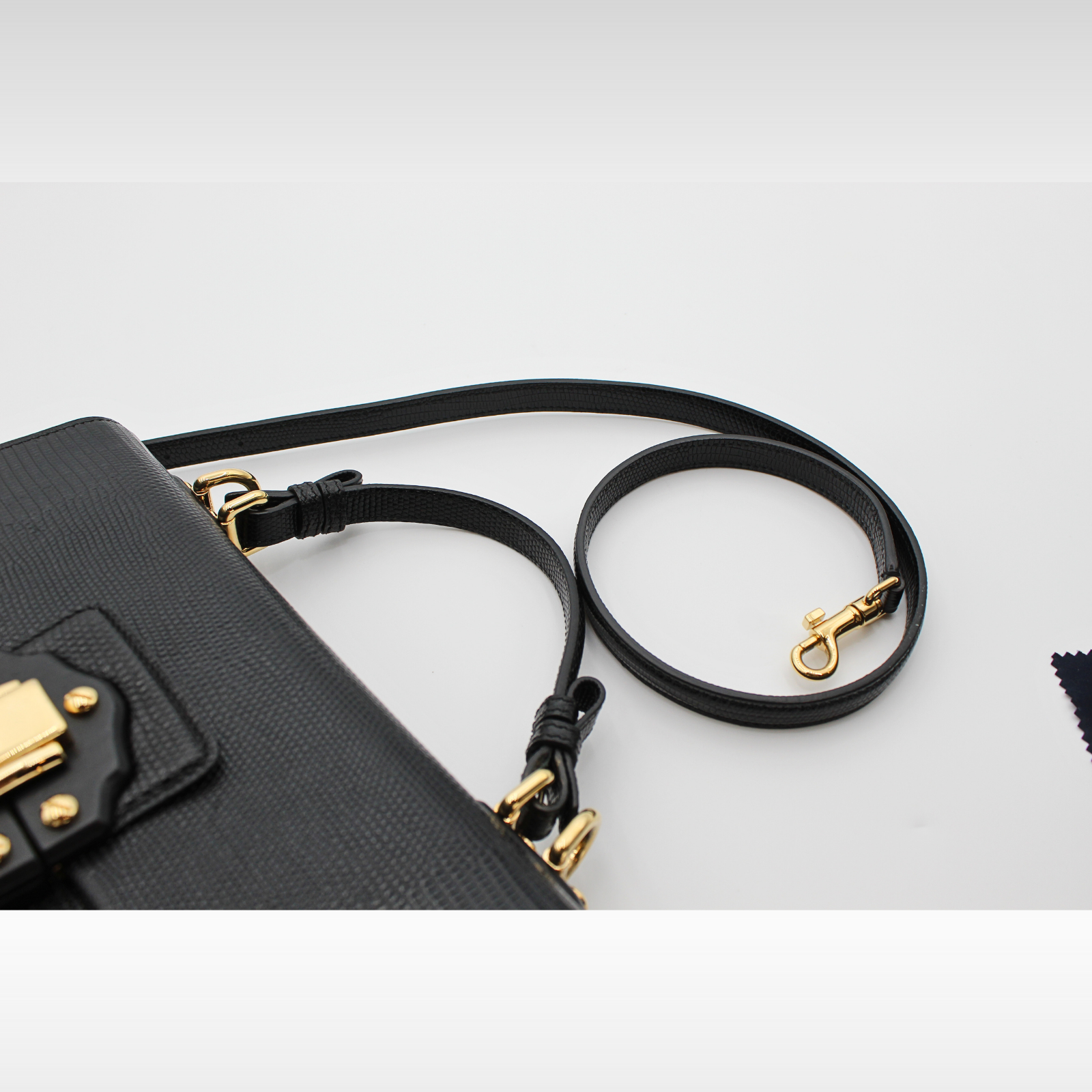 Lucia Lizard Handbag