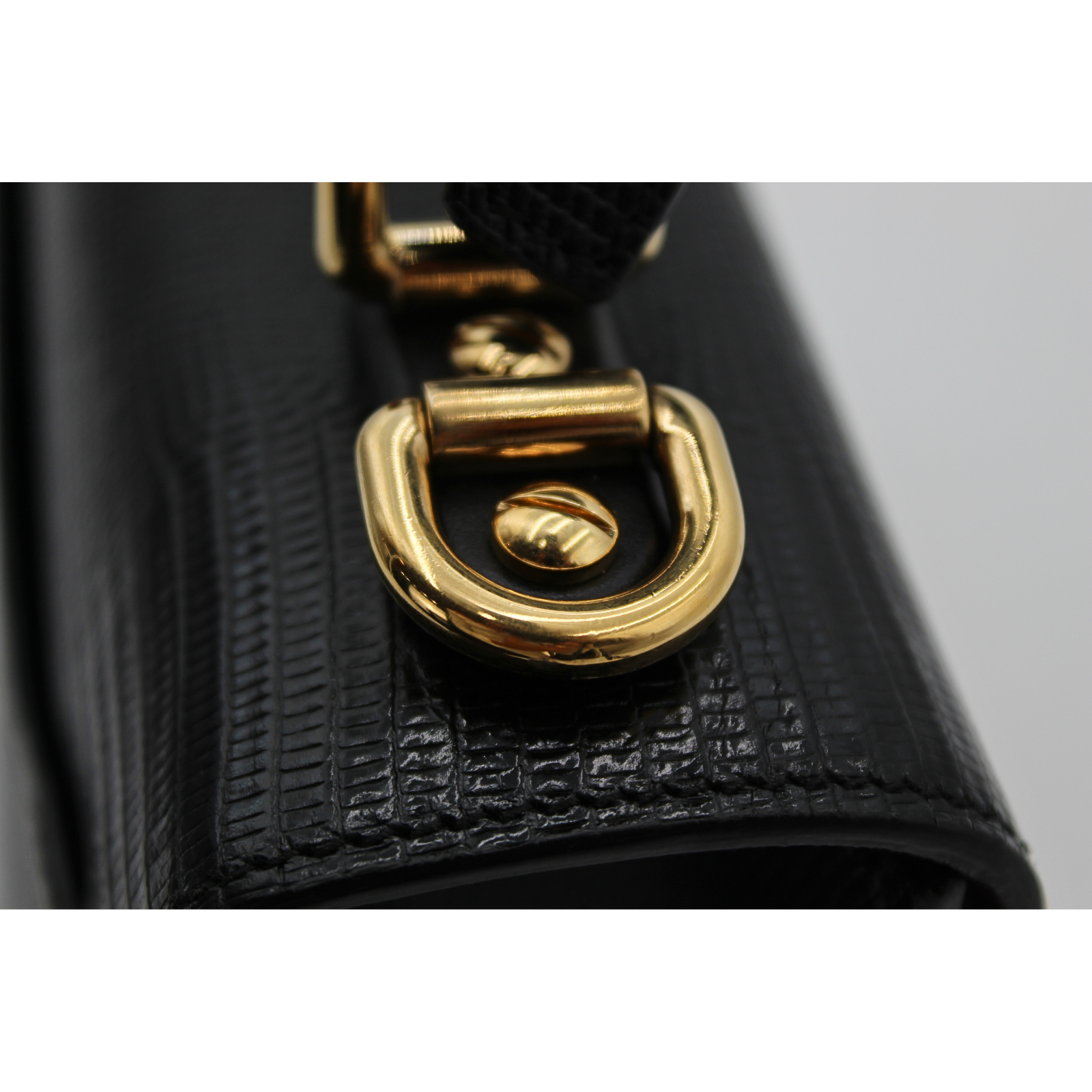 Lucia Lizard Handbag