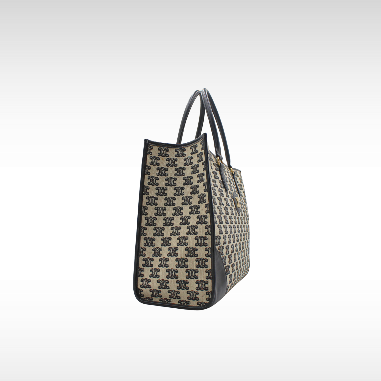 Horizontal Cabas Canvas Tote Bag