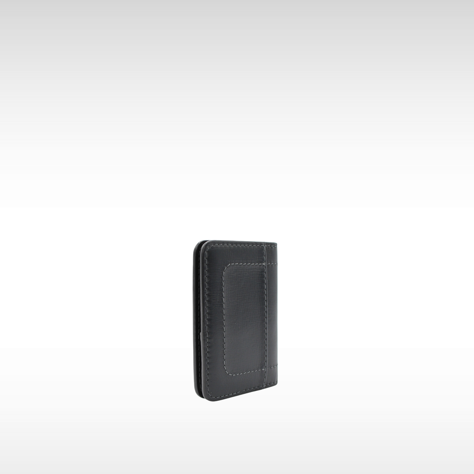 Pocket Organizer Utah Card Case