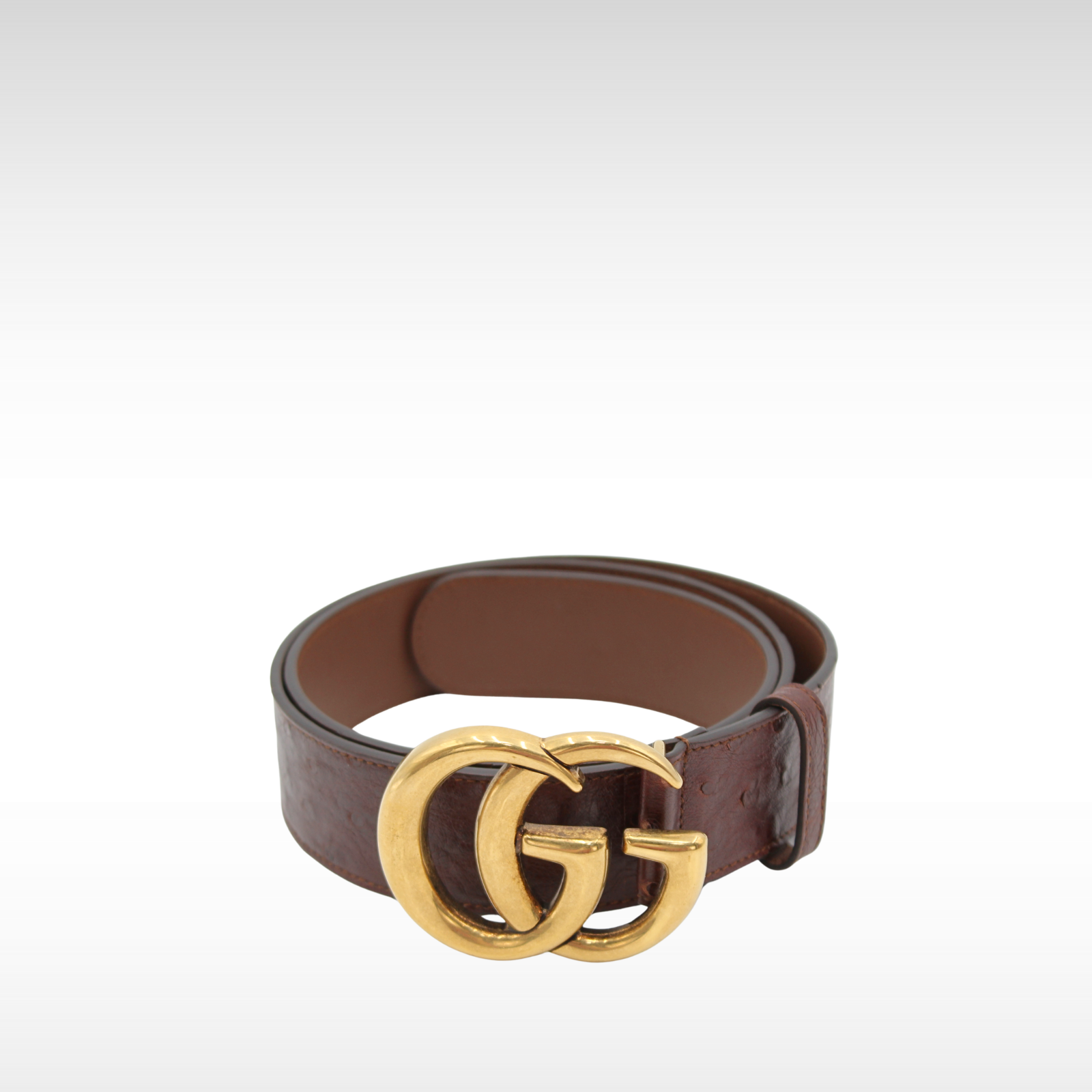 GG-Marmont 38/95 Ostrich Brown Belt