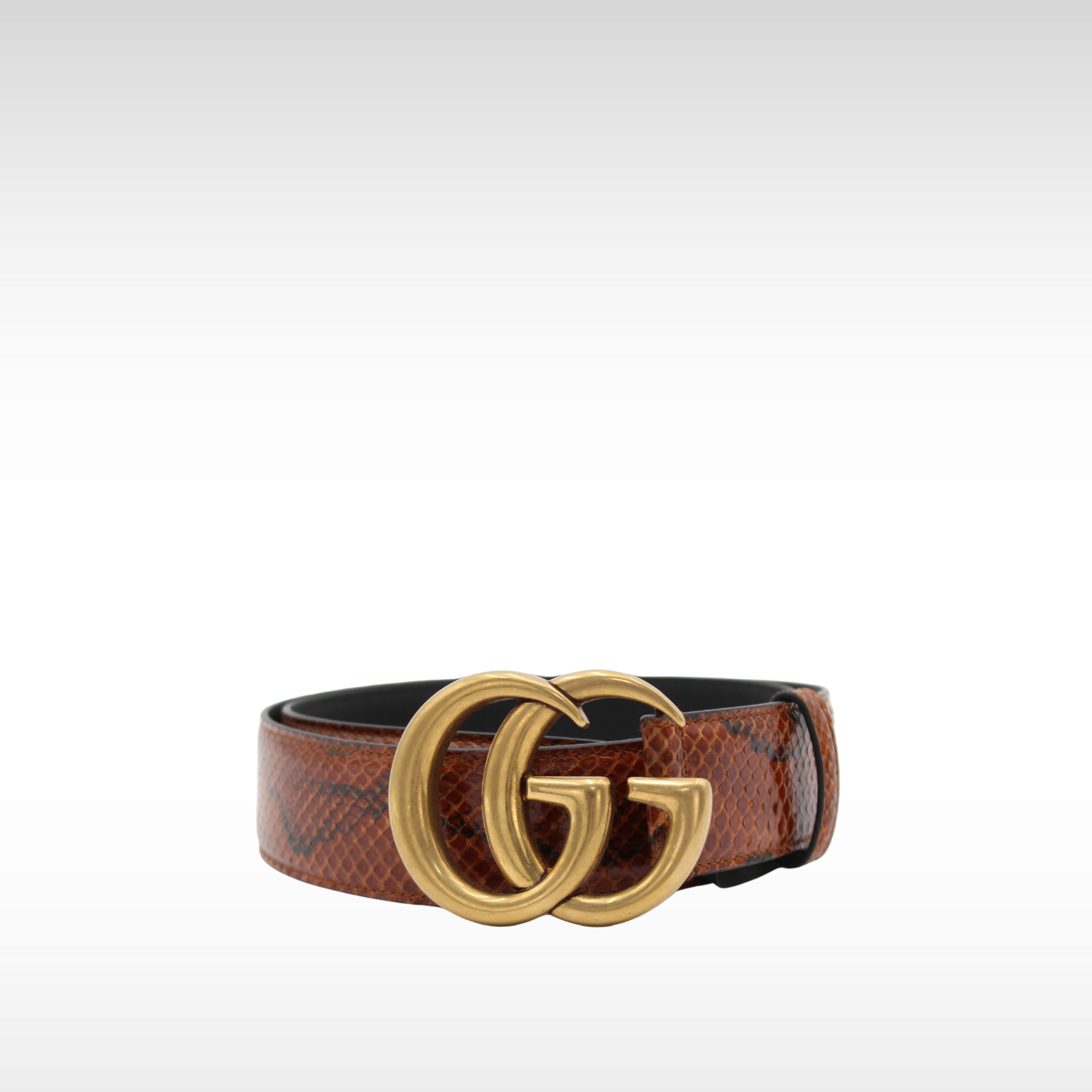 GG-Marmont 38/95 Python Brown Belt