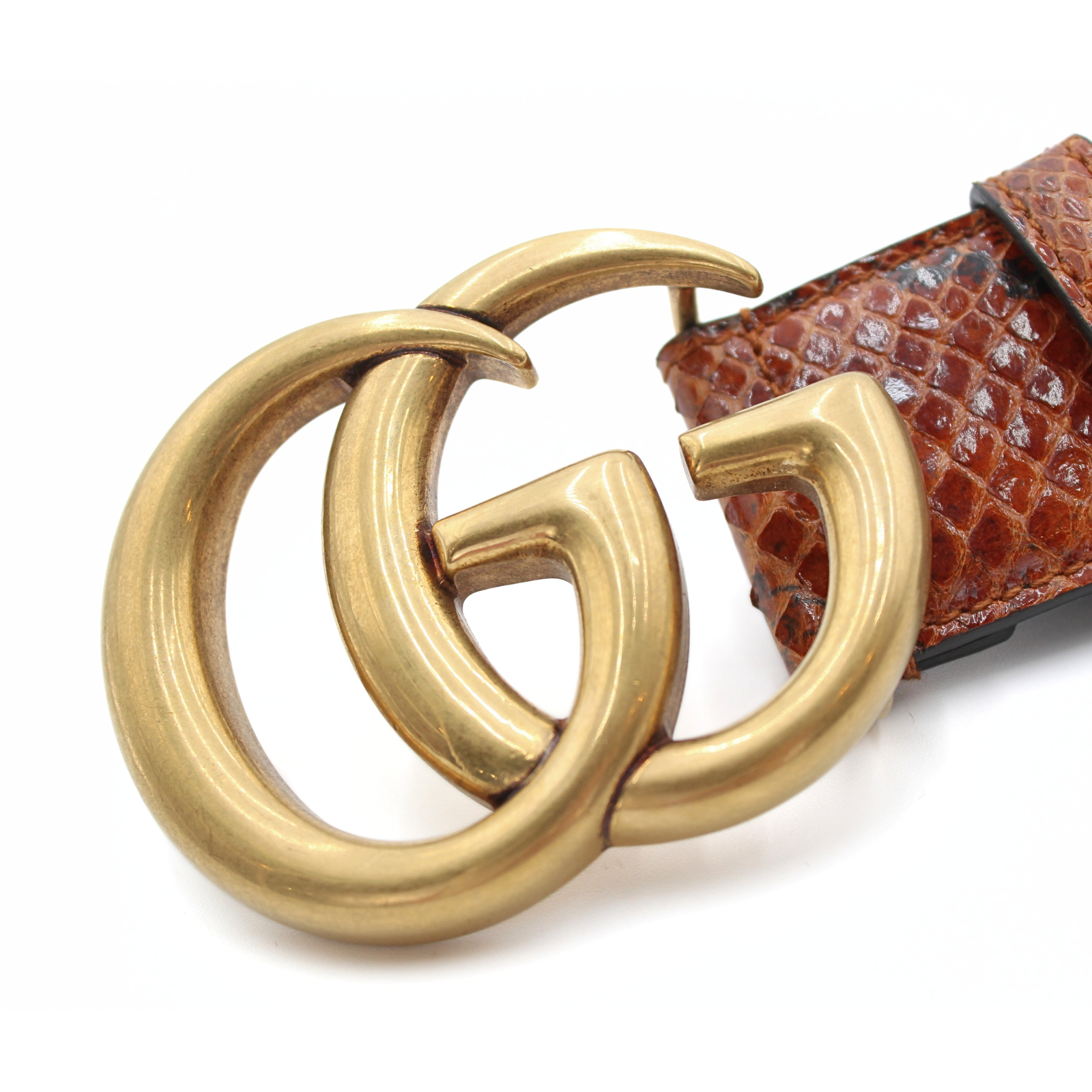 GG-Marmont 38/95 Python Brown Belt