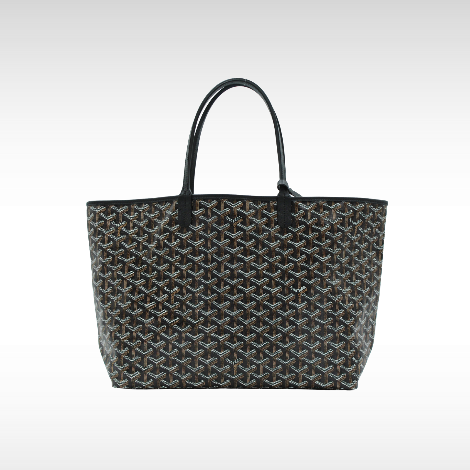 Saint Louis PM Coated Canvas Tote Bag