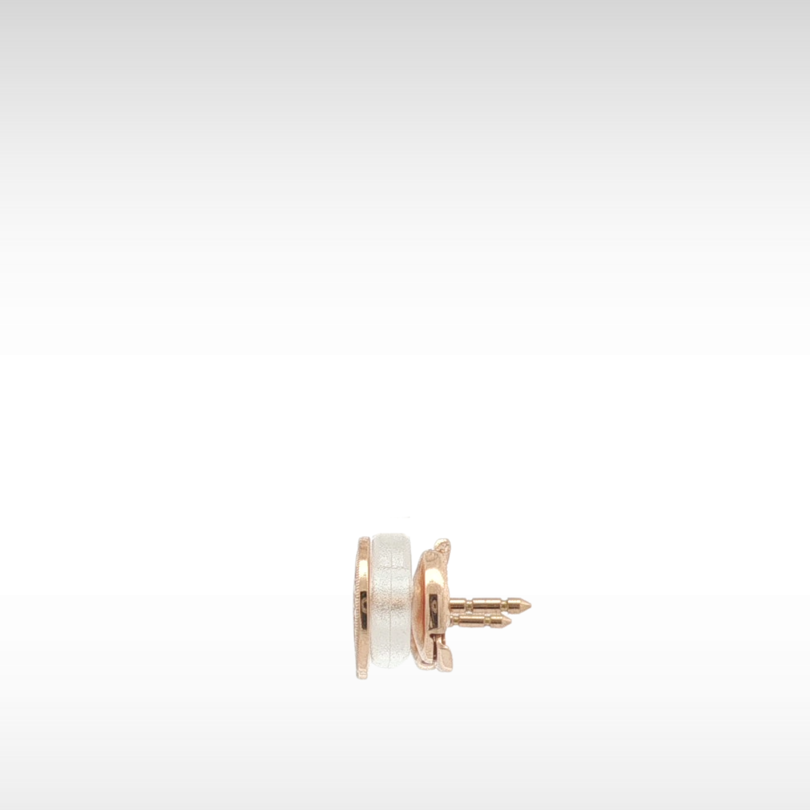 Ex-Libris Earrings